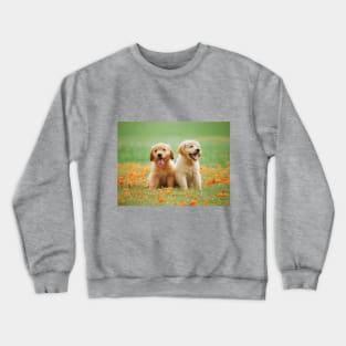 Puppies Crewneck Sweatshirt